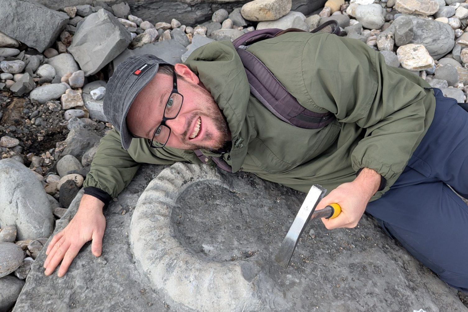 Dinosaurier Fossilien Versteinerte Fossilien